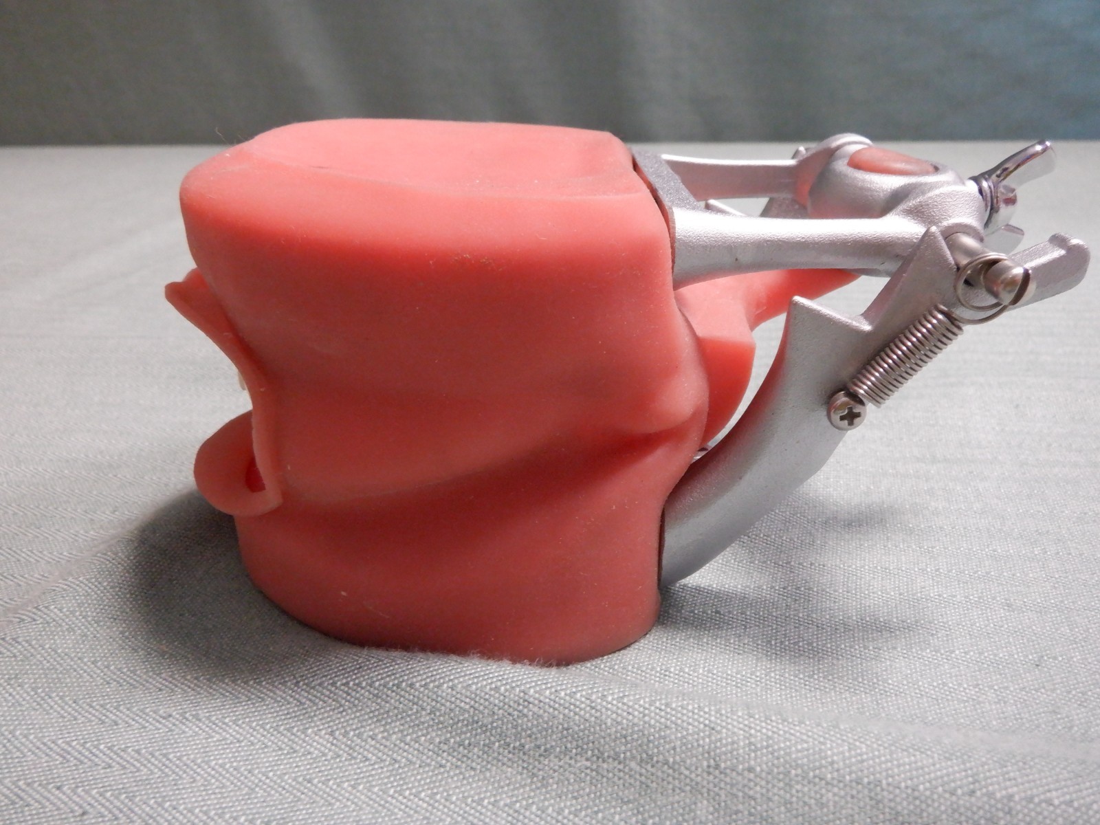 Nissin Typodont Dental Teeth