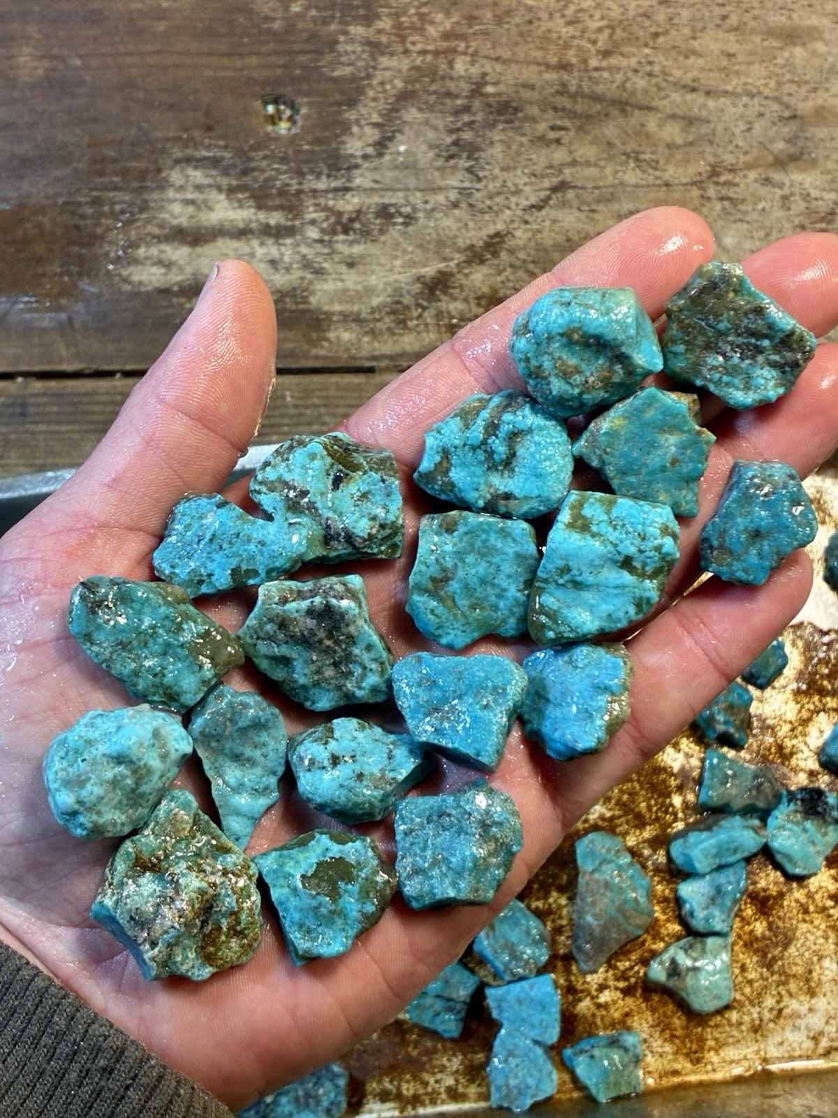 1 Lb. Ithaca Peak, Real Turquoise! Electric blues! High in matrix. ❤️‍🔥3 Left!