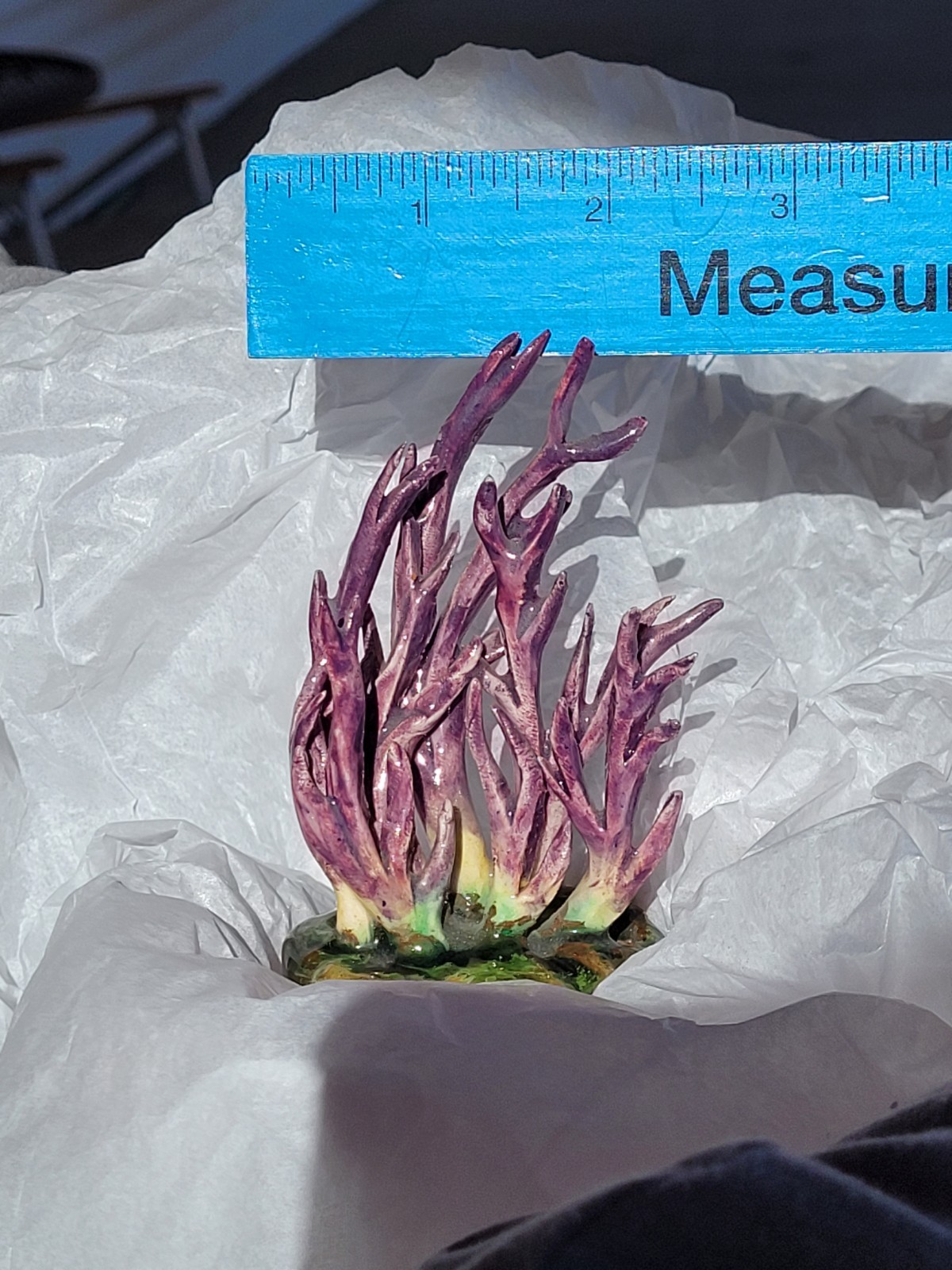 Rare Vintage Early Lorenzen Lantz Nova Scotia Clay Mushroom Clavaria Amethystina