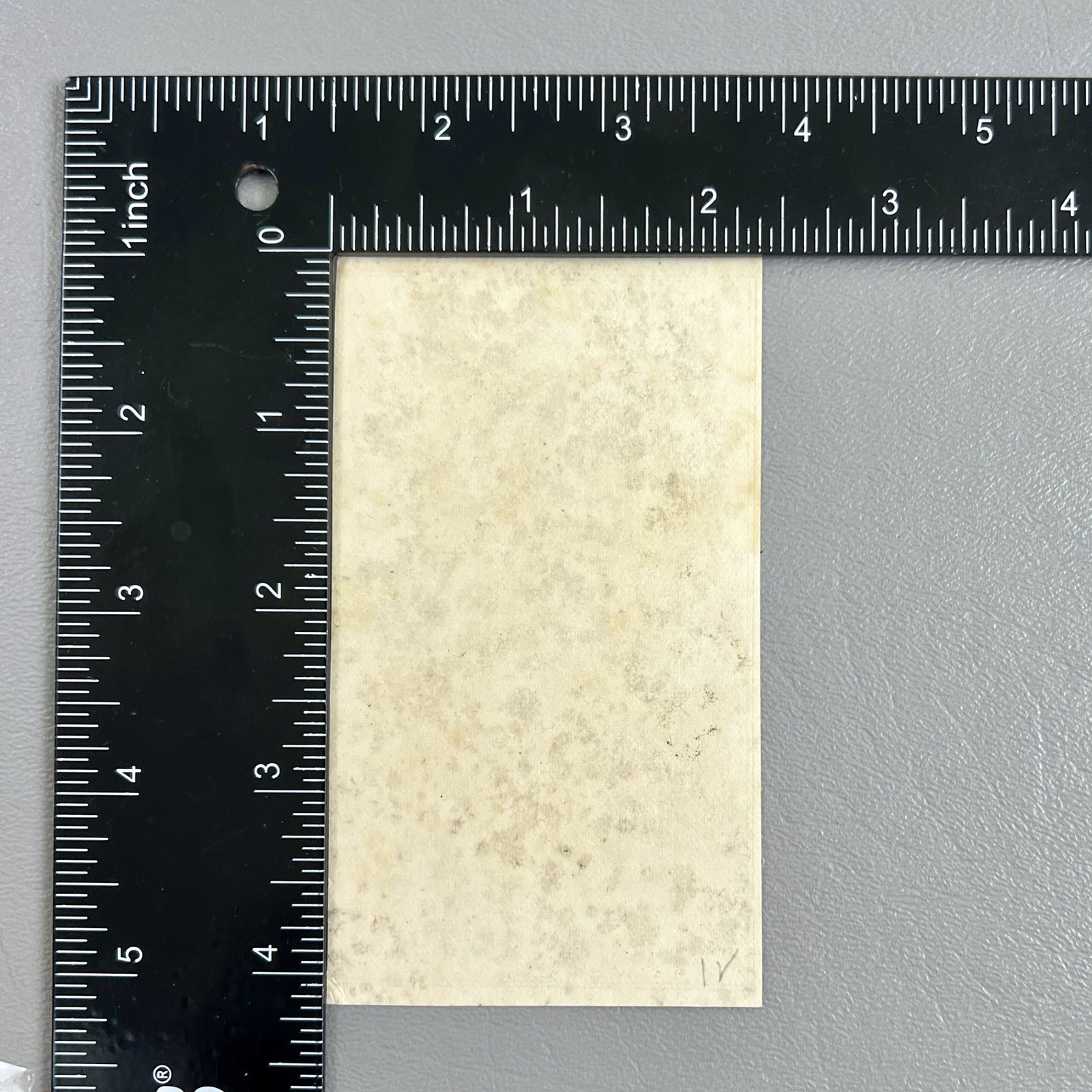 Victorian Trade Card Anthropomorphic Soldier Dogs General Steinbugler & Alberts