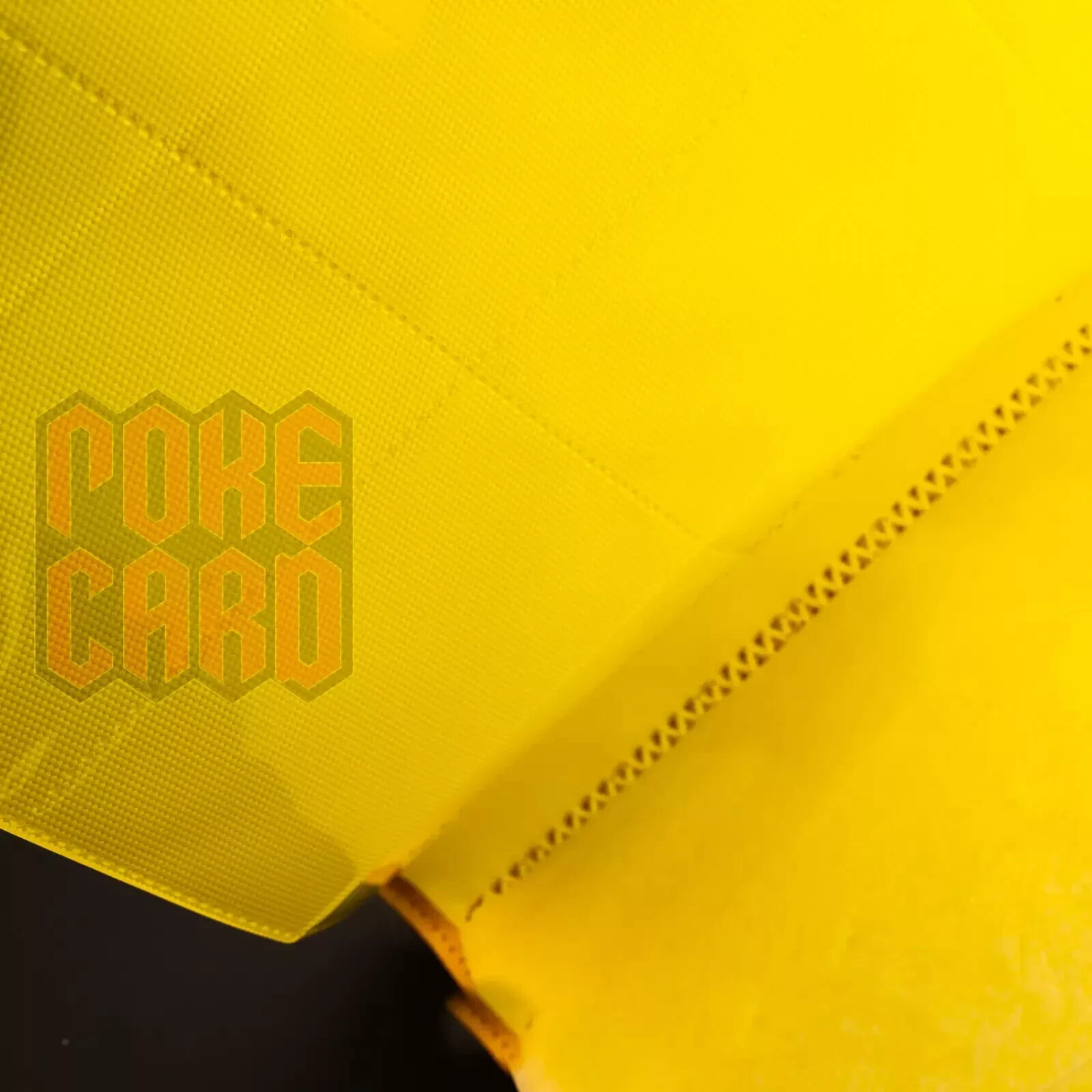 Pokemon S-Chinese Sealed Gift Box Jolteon Eevee GX theme 480 slots Card Binder