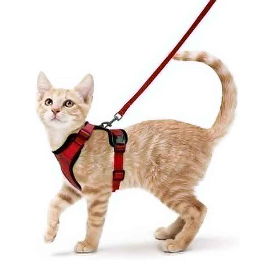 Cat Harness and Leash for Walking, Escape Proof Soft Adjustable Vest Harnesses f