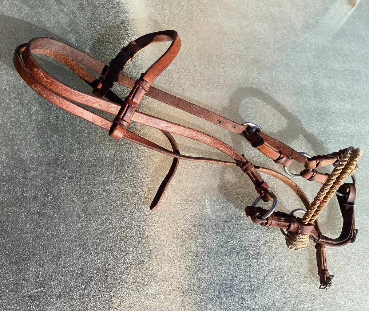 Murphy Leather Western Side Pull Bridle Bitless Training Headstall