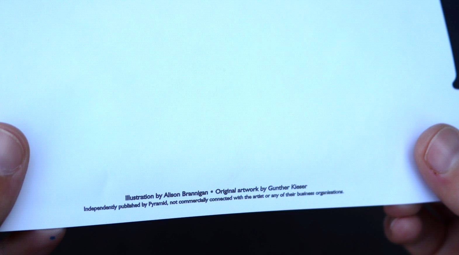 1999 PYRAMID JIMI HENDRIX EXPERIENCE WIRE HAIR MEDUSA CONCERT POSTER ART 53x37"