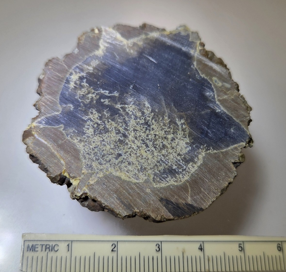 Priday Plume Agate Slab 42.7 grams SPP002