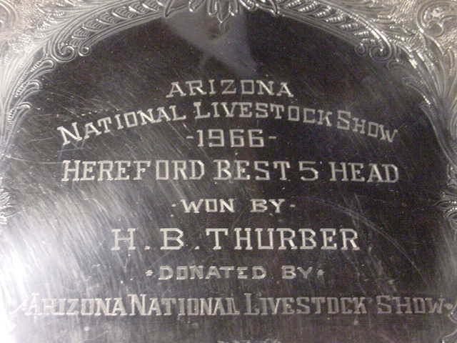 Arizona national livestock show Hereford cow cattte trophy 1966 Herald B Thurber