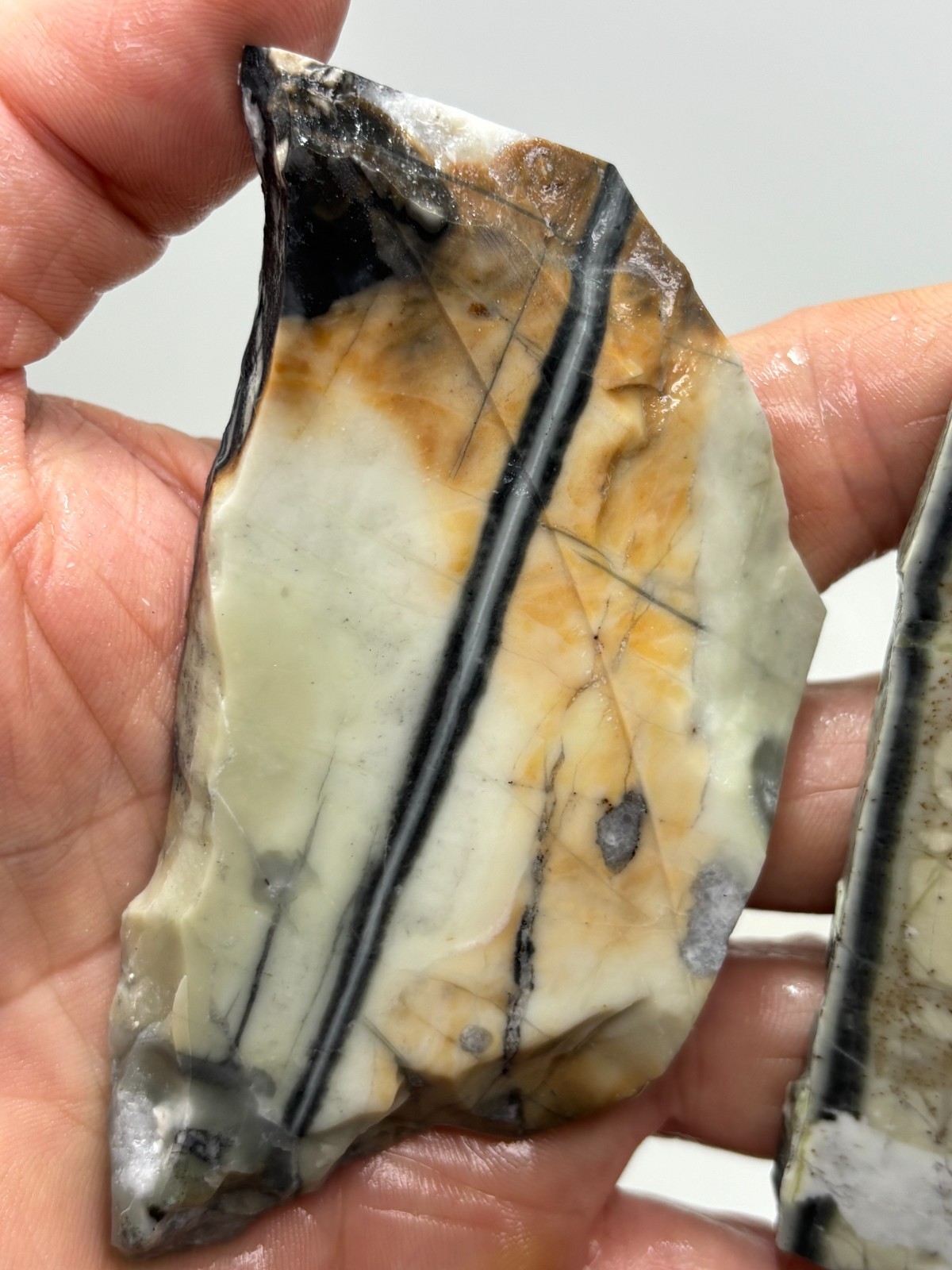 Picasso Marble (Jasper) Slabs Cabbing Lapidary Utah Combo Ship Avail