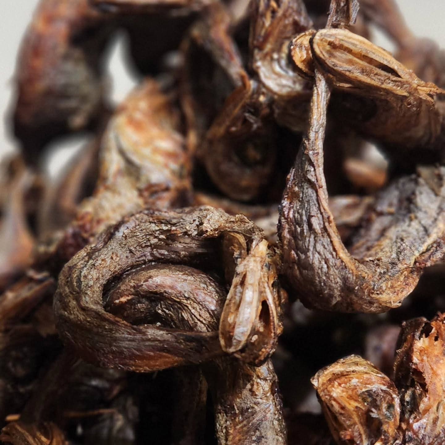 100pcs DRY PANLA FISH