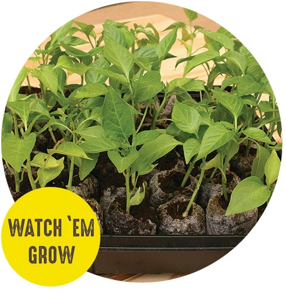 50mm Jiffy Peat Pellets, FAST SHIP Sold sets of 10,25,50,100,486 Seed Starting