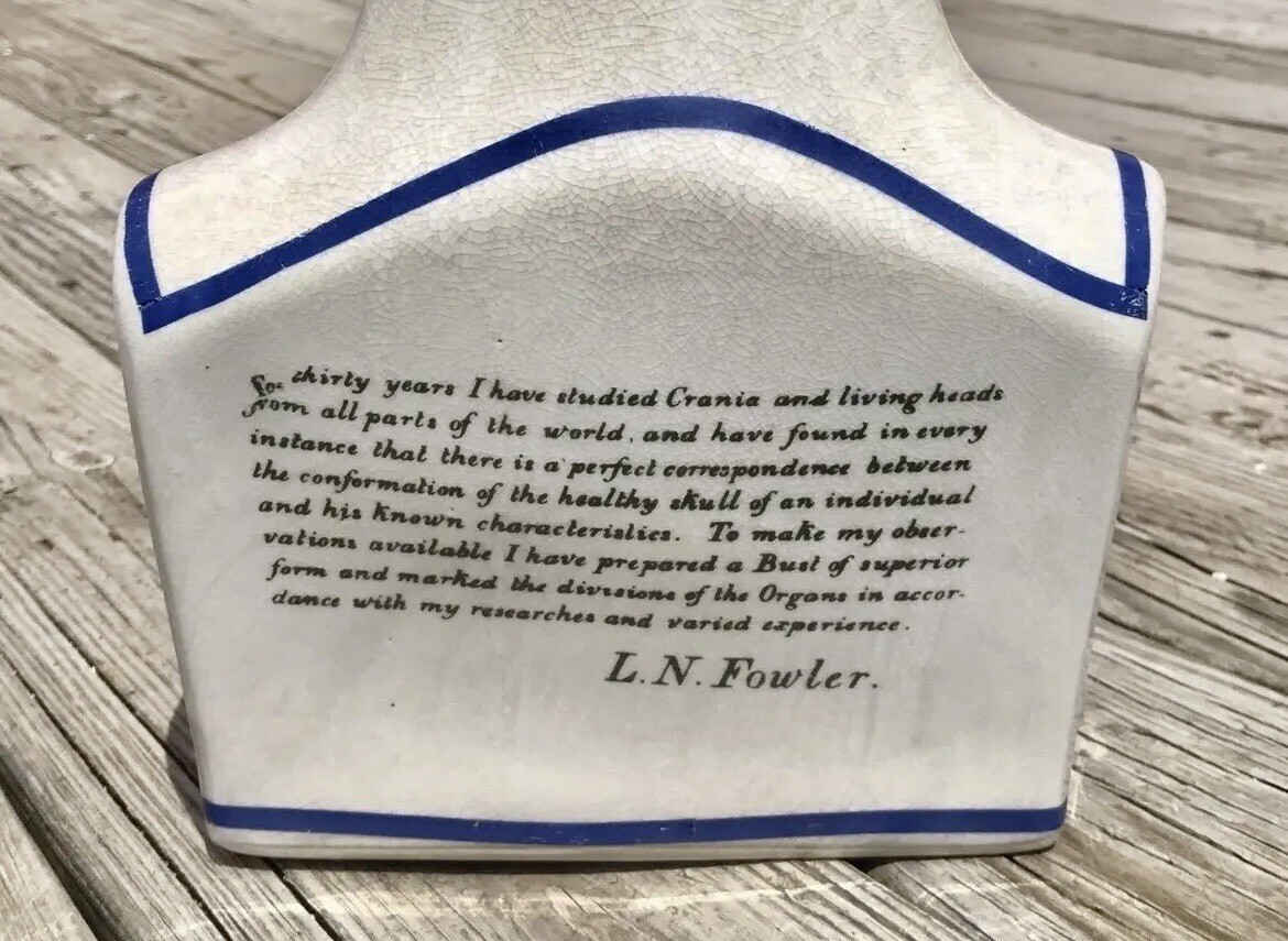 Porcelain L.N. Fowler Phrenology Scientific Psychology 17” Large Bust Head