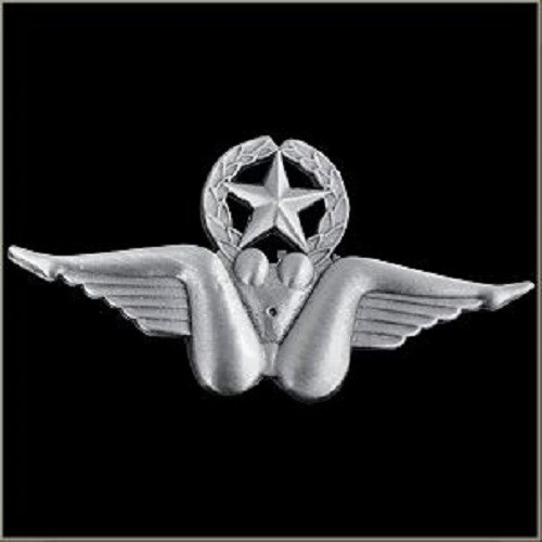 Bush Pilot Wings BIKER PIN W/  LOCKING BACK FOR VEST JACKET LEATHER DENIM dyna