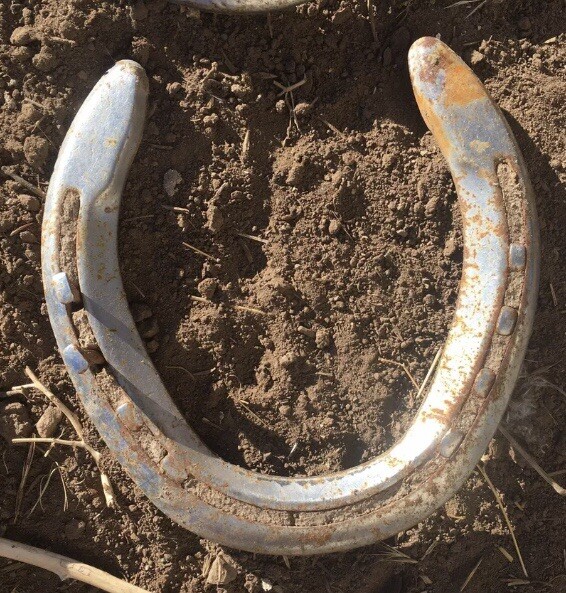 Horse Shoes, Ridden In The Rocky Mountains; Horse Shoe; Horseshoe; Horseshoes