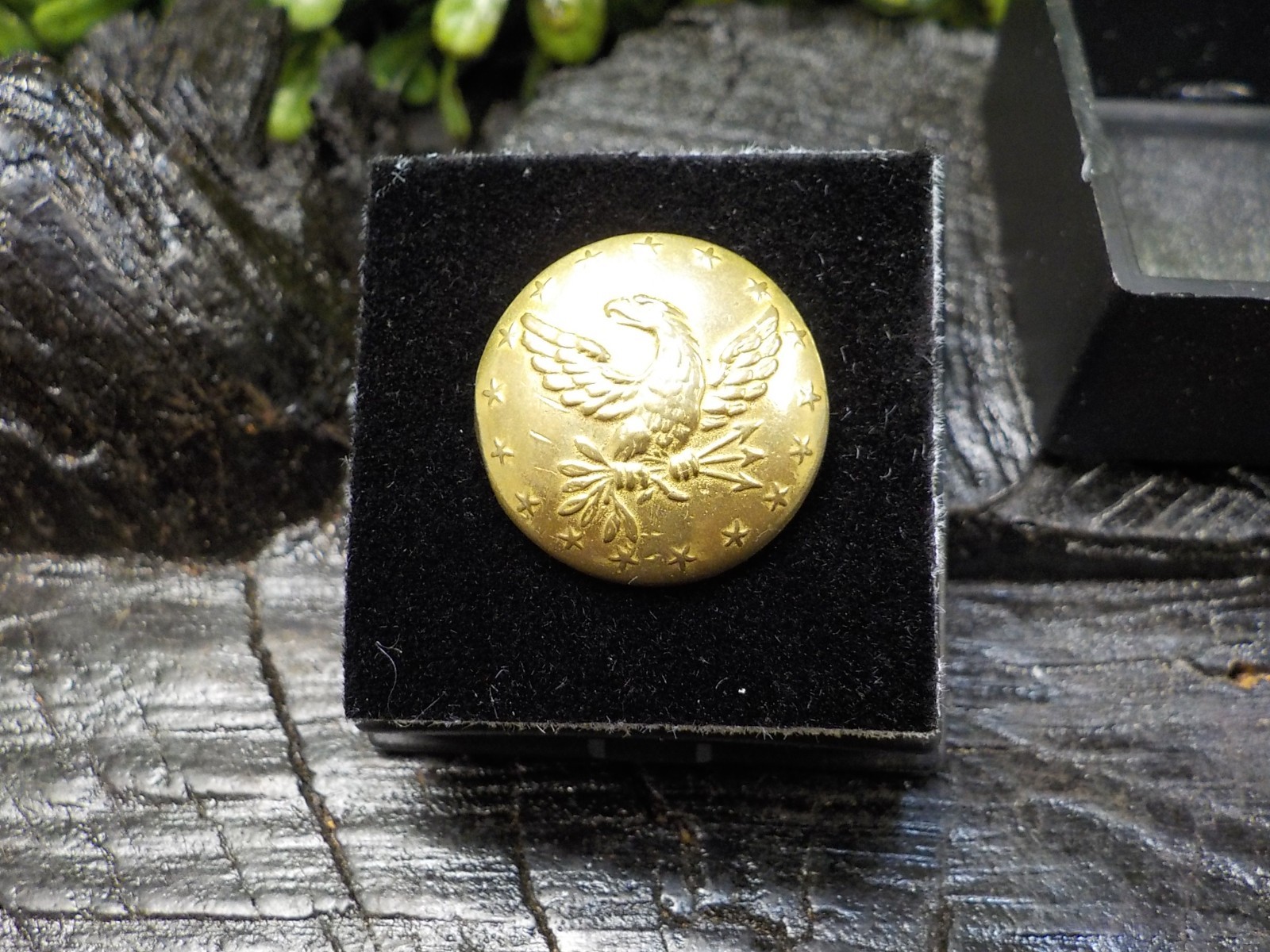 Old Rare Vintage Antique Relic Pre Civil War Militia Officers Coat Button w/Gold