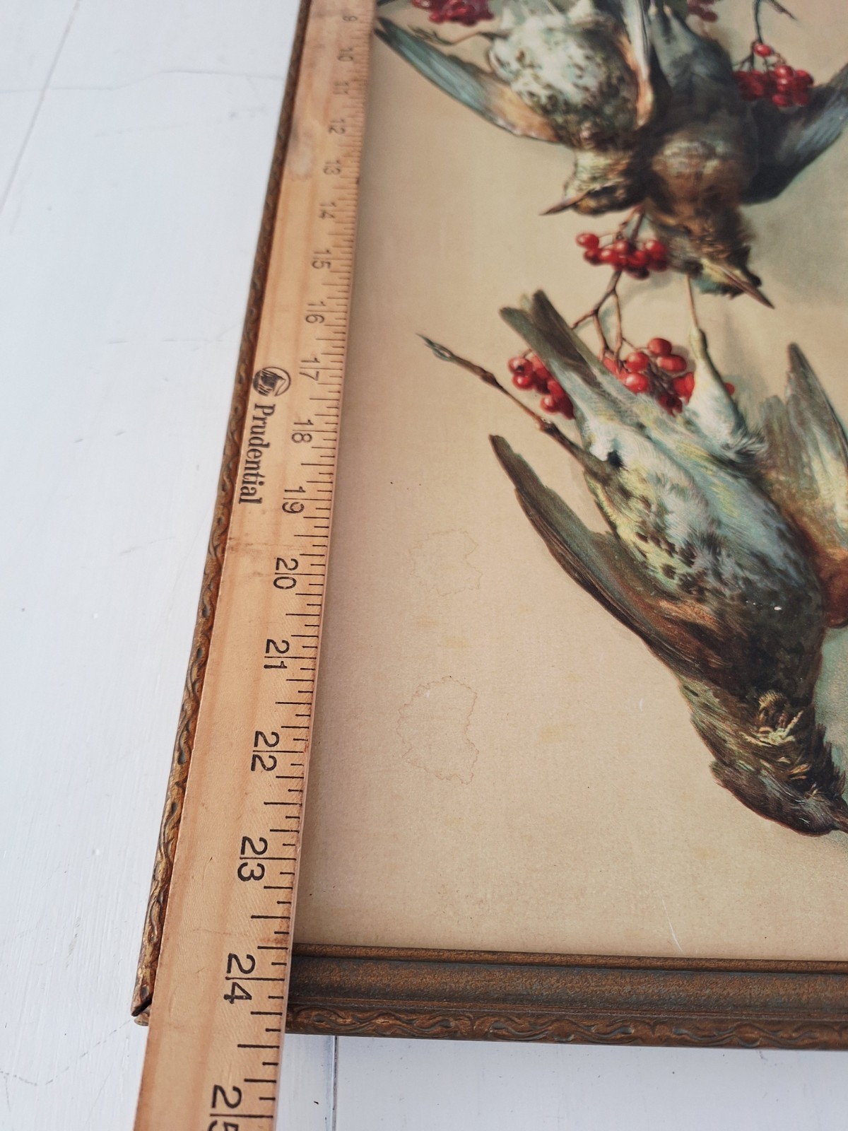 Game Birds Victorian Quail Cranberries Antique Embossed Chromolithograph