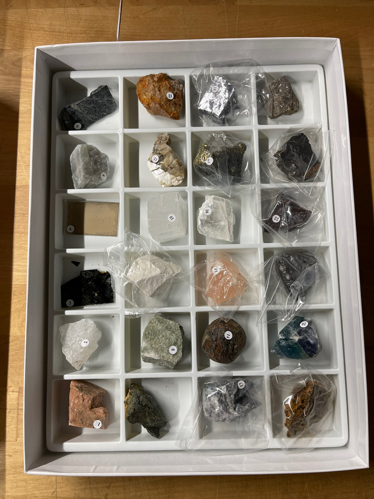 New Wards  Science Rock Mineral Specimen Samples Set Geology Collection 24pk