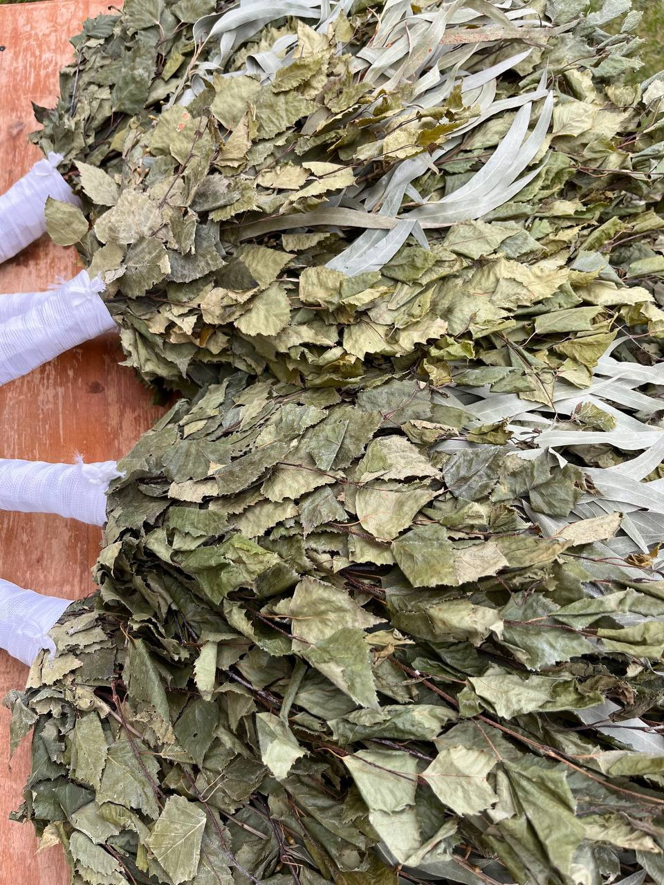 12 Birch + Eucalyptus brooms 2025 sauna banya venik Eiche whisks eco Ukrainian