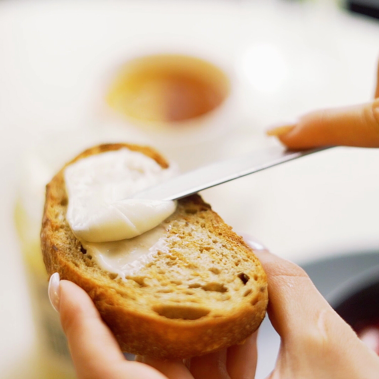 Sainfoin Raw Unfiltered Honey in Glass Jar, 15.87 Oz