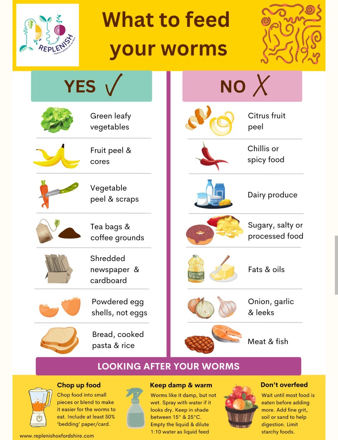 (JIGS) LIVE Red Wiggler Composting Worm Mix Approx 1,000 (1 LB) Voracious Eaters