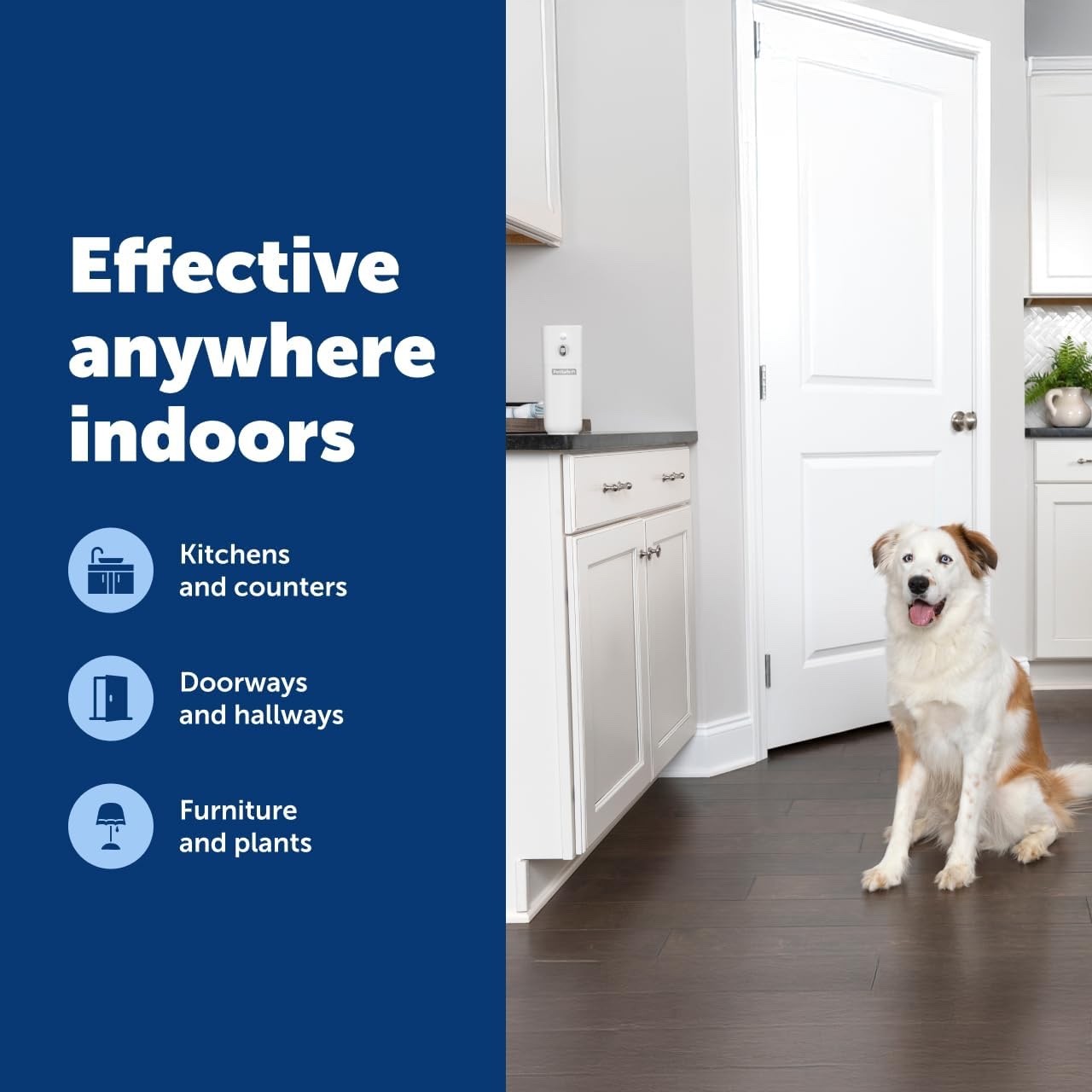 PetSafe SSSCAT Motion Activated Spray Deterrent for Cats & Dogs- 2025 New Design