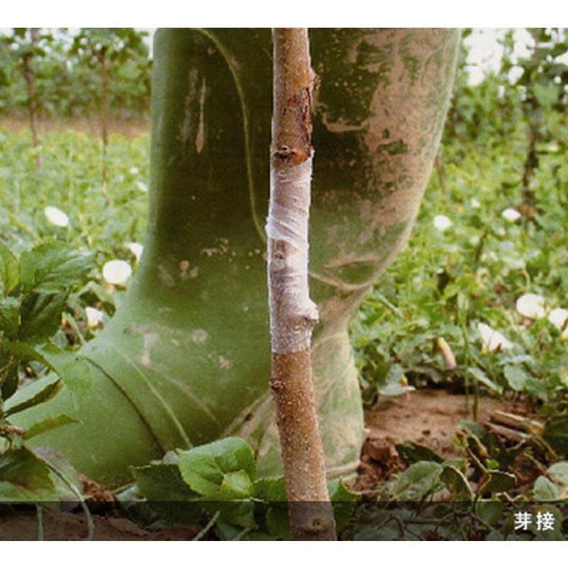 Aglis New Medel 25mm x 30M Buddy Tape Grafting Tape Agricultural *US seller