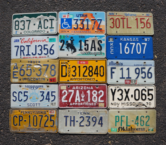 LOT of 15 License Plates 10 States USA License Plate Tag Craft Condition Group