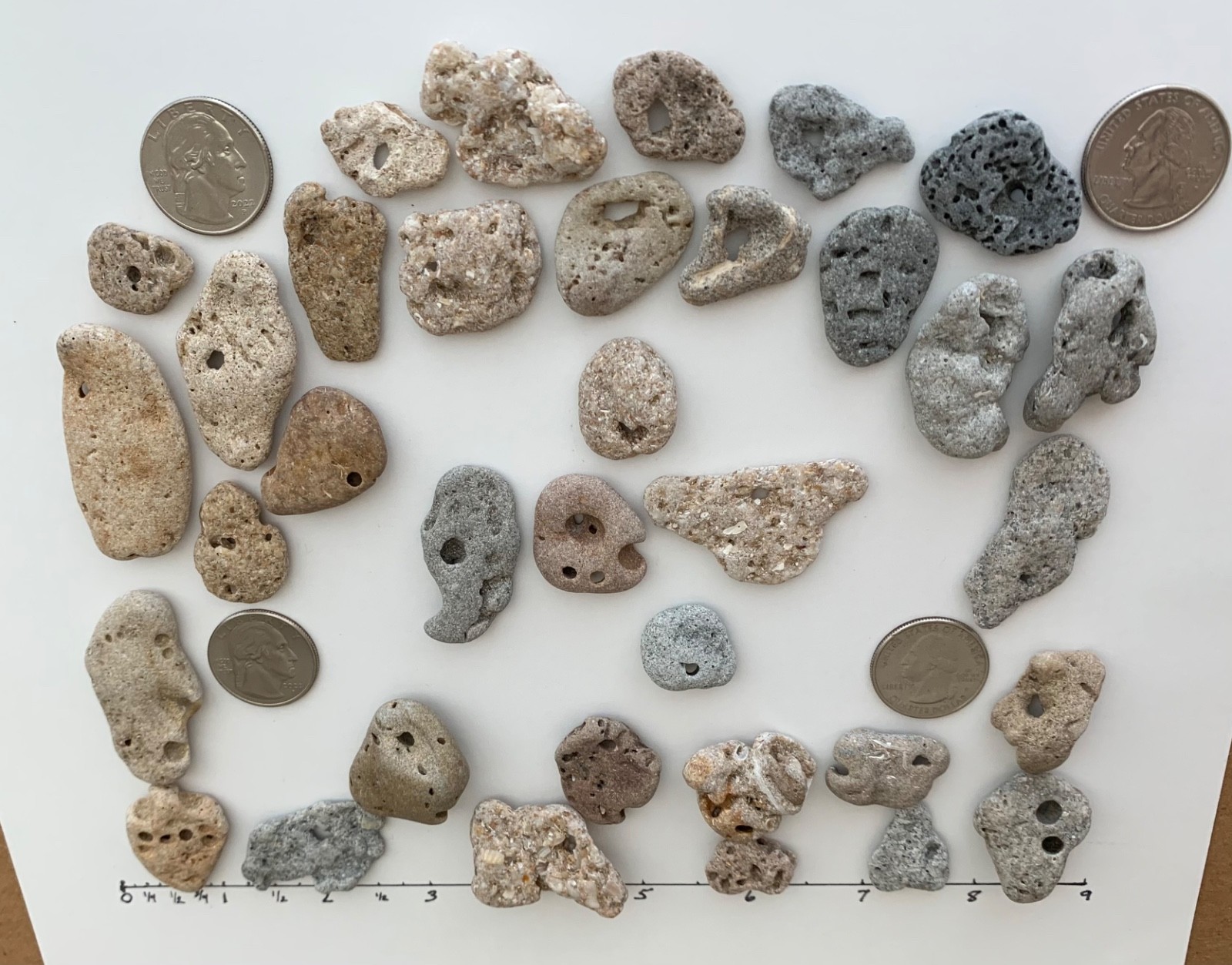 35 Adder Holey Beach Rocks Hag Stones Fairy Lucky Wish Magic Natural 1" #B2 US❤️