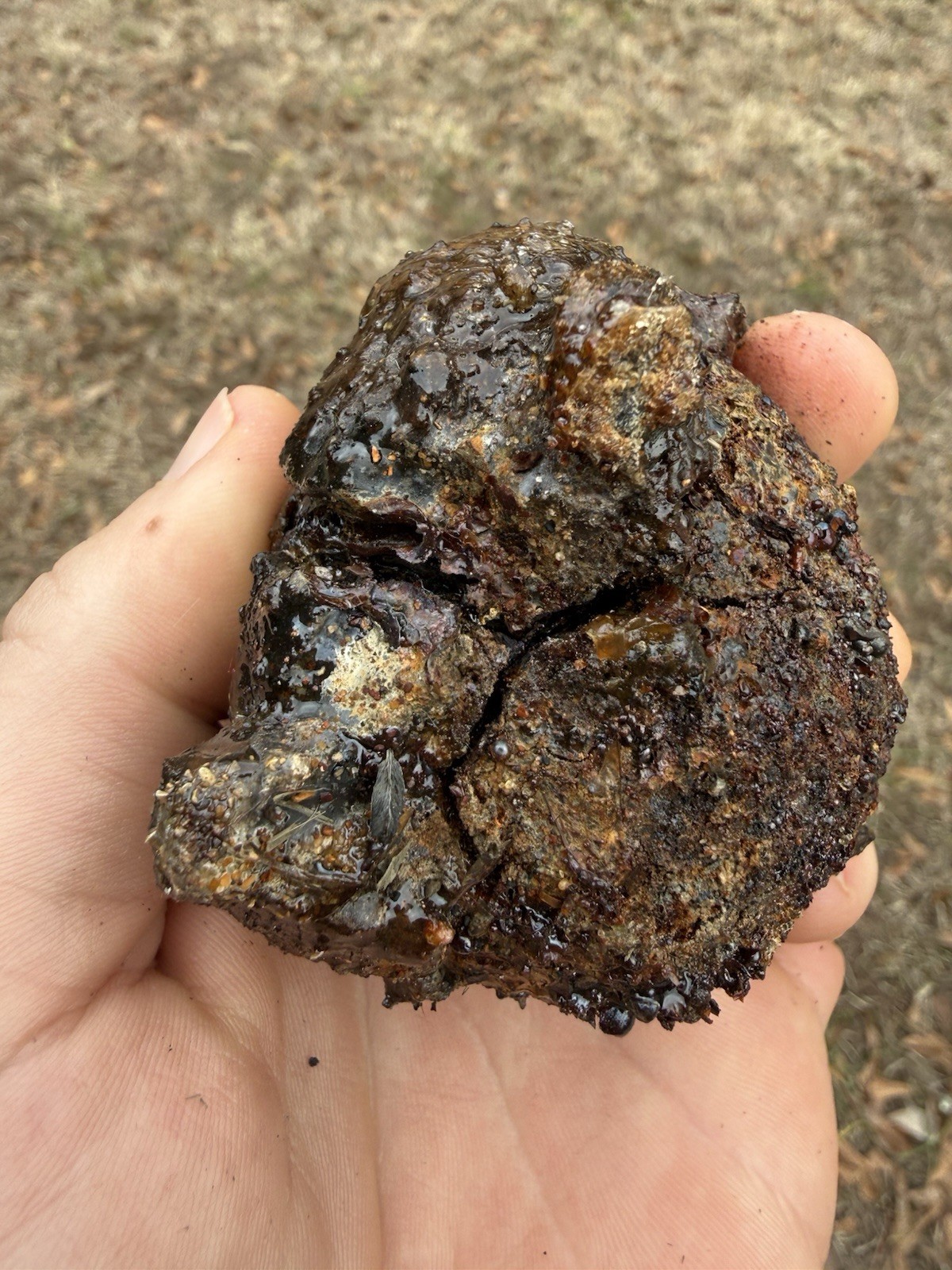 1715 Treasure Fleet Shipwreck Recovered Small Iron Cannonball - Encrusted