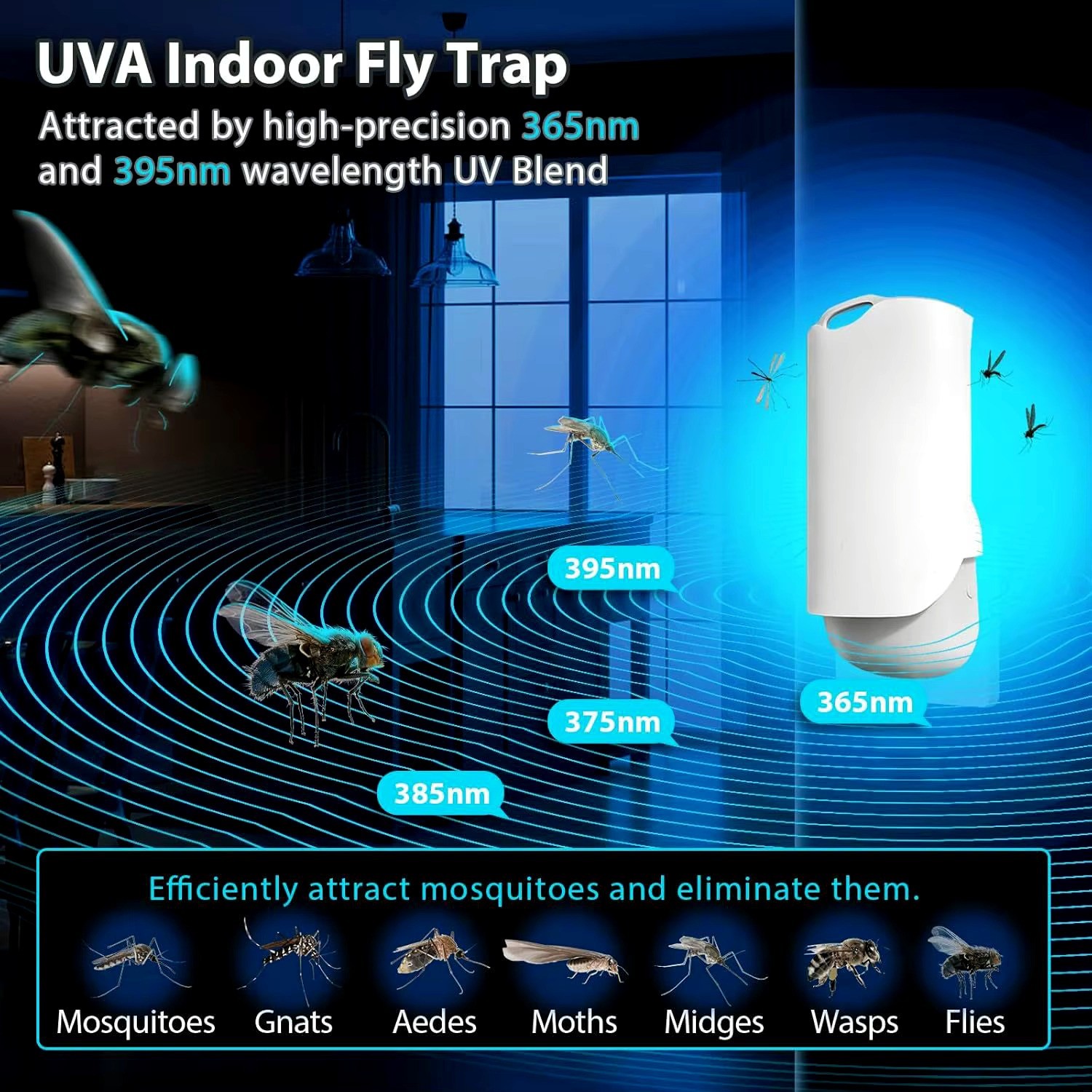 Indoor Plug-In Fruit Fly Insect Trap for Flies, Gnats, Bugs, Dimmable UV Light