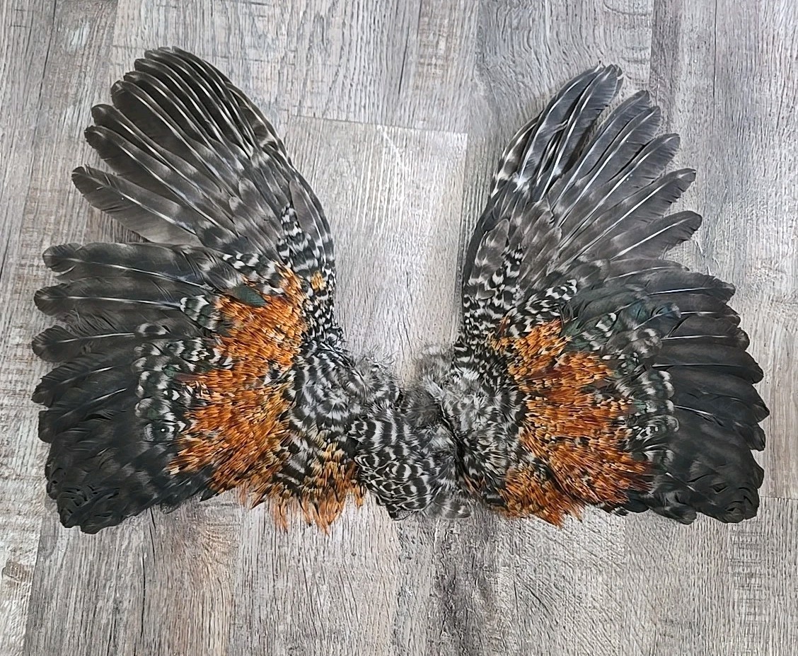 16" Cree Grizzly Chicken Rooster Wings Craft Bird Fly Tying Feathers Taxidermy