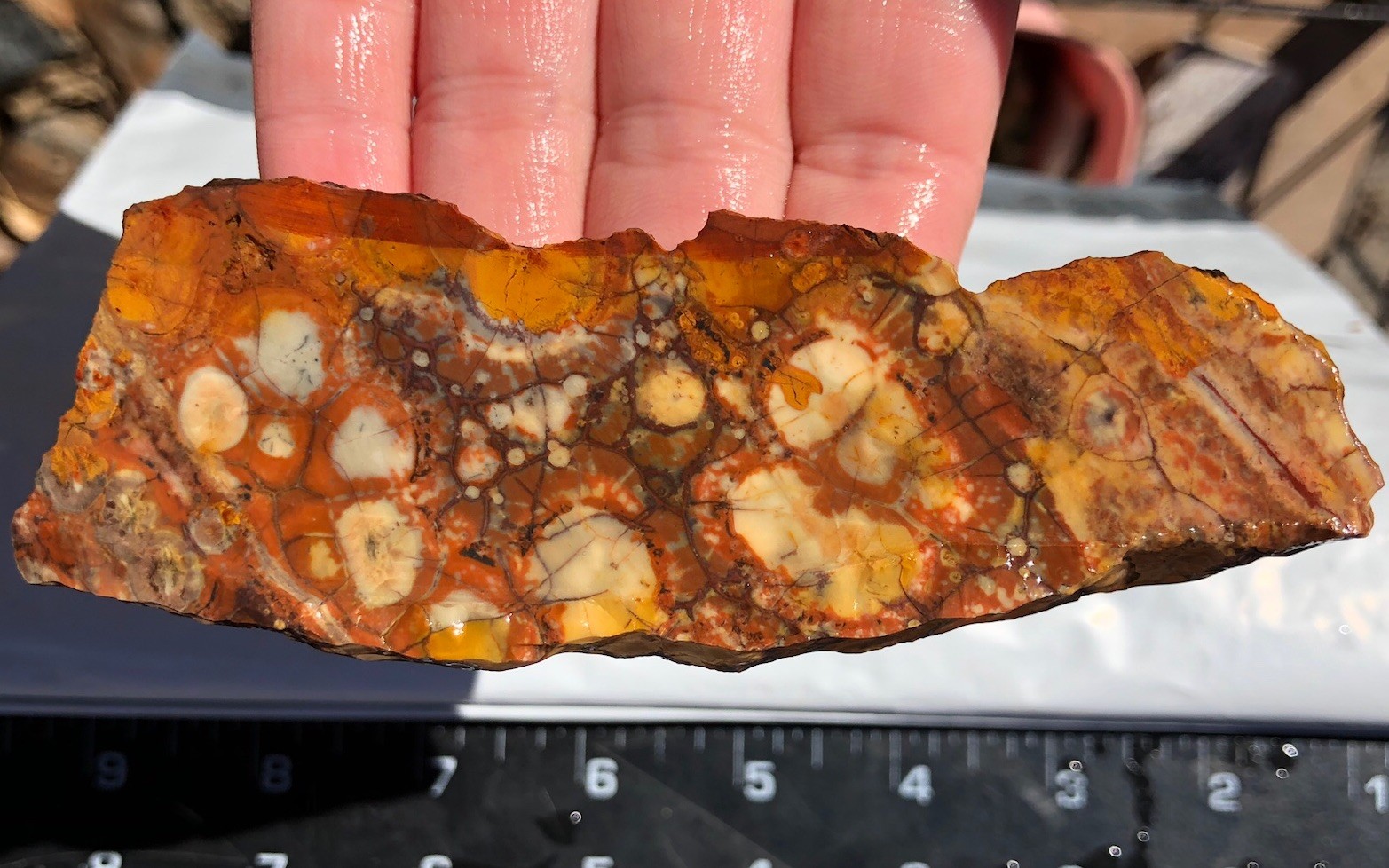Birdseye Rhyolite 88g Rough Slab 3/8-1/2” Thick Cabbing Stone Orb Jasper