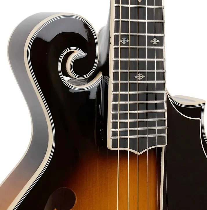 Gold Tone F-6+ F-style 6 String Electric Mandolin Guitar Mando-Guitar New W/Case