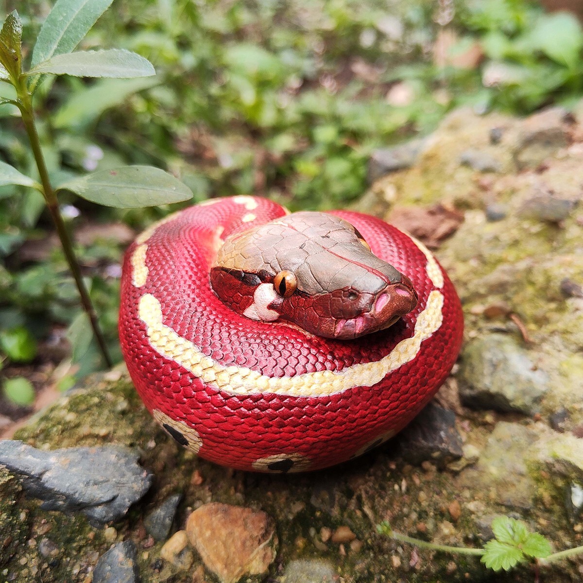 【In-Stock】 Animal Heavenly Body Blood Python brongersmai Snake Statue
