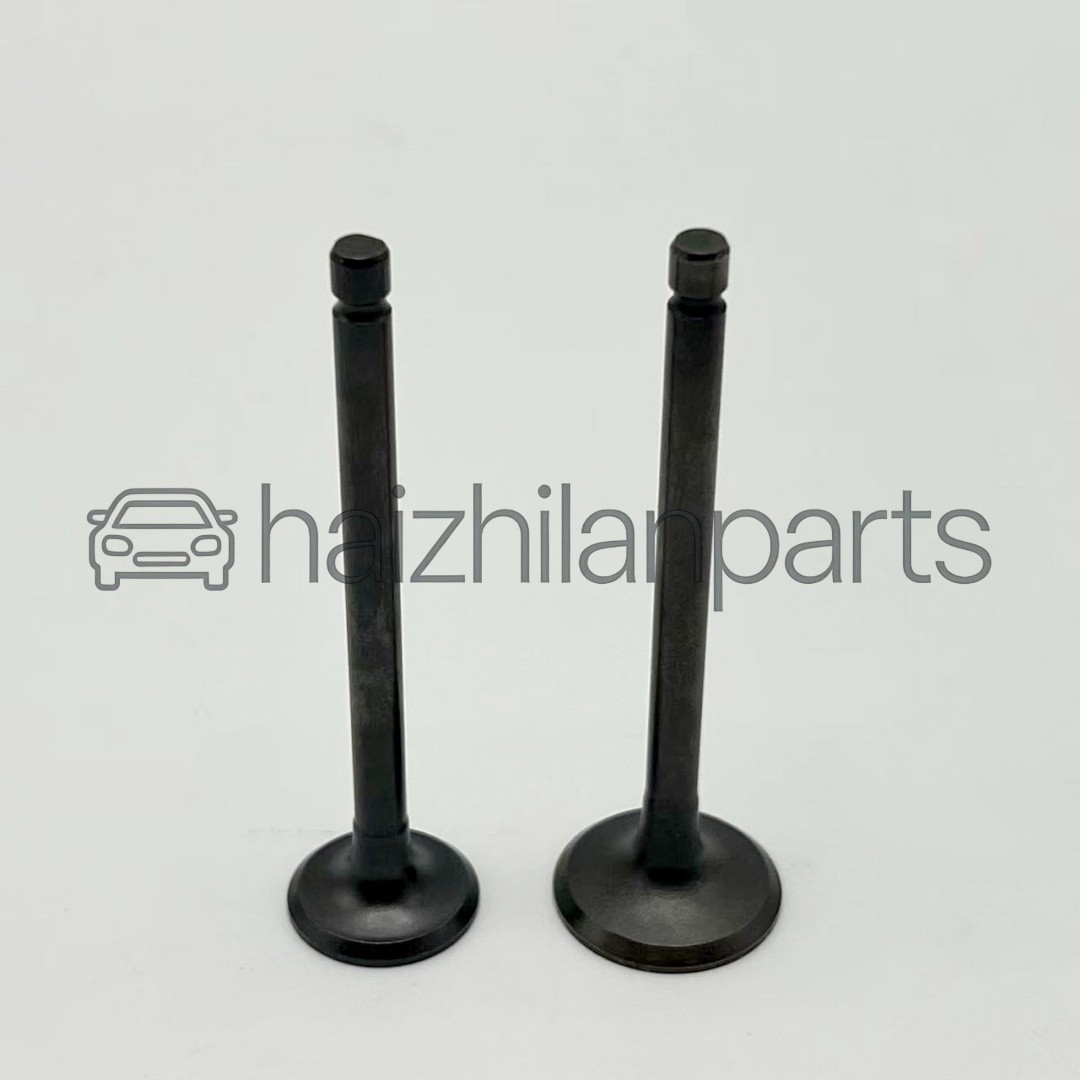 OEM Cylinder Head Intake & Exhaust Valve Seal Springs for Honda XR80R XR100R