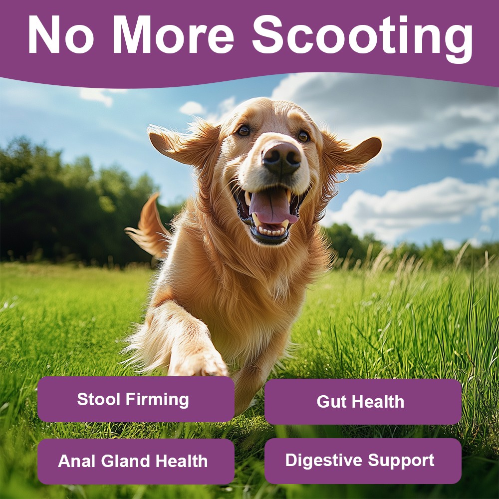150 Soft Chews of Pumpkin + Anal Gland Support Supplement for Dogs No Scoot