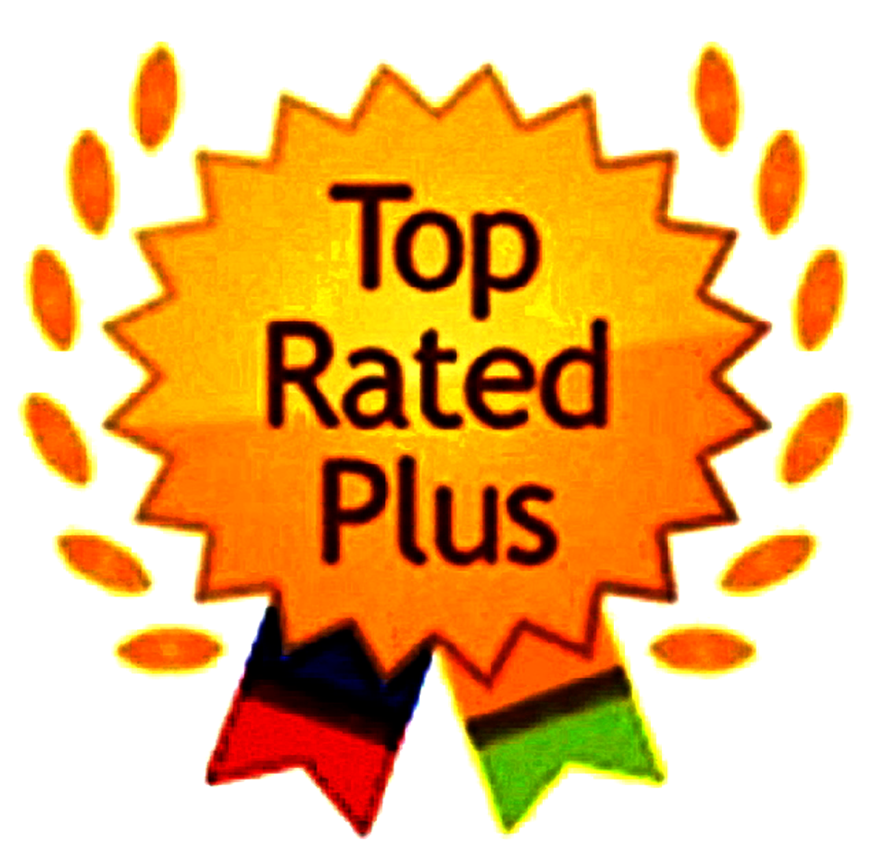 STUNNING RARE BUFFALO NICKEL COLLECTION 1913-38! 10 SEMI-KEYS! 44 COINS!