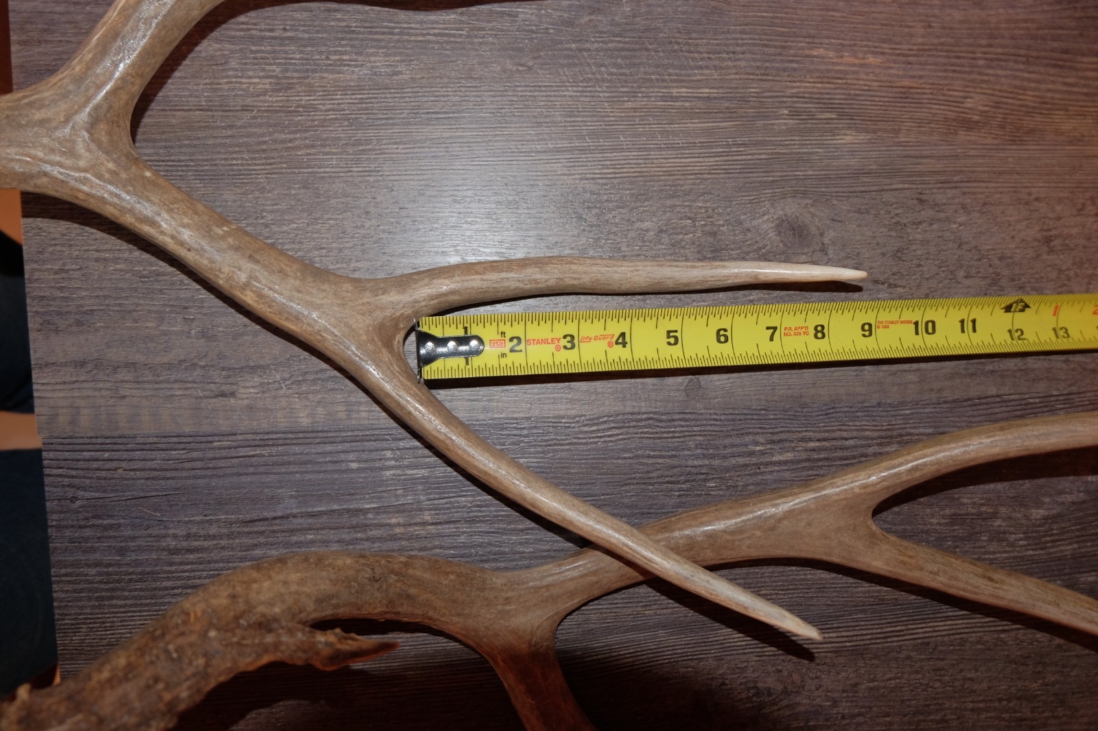 Nice Set Mule Deer Antlers Sheds Taxidermy Mount Cabin Decor Buck Horns