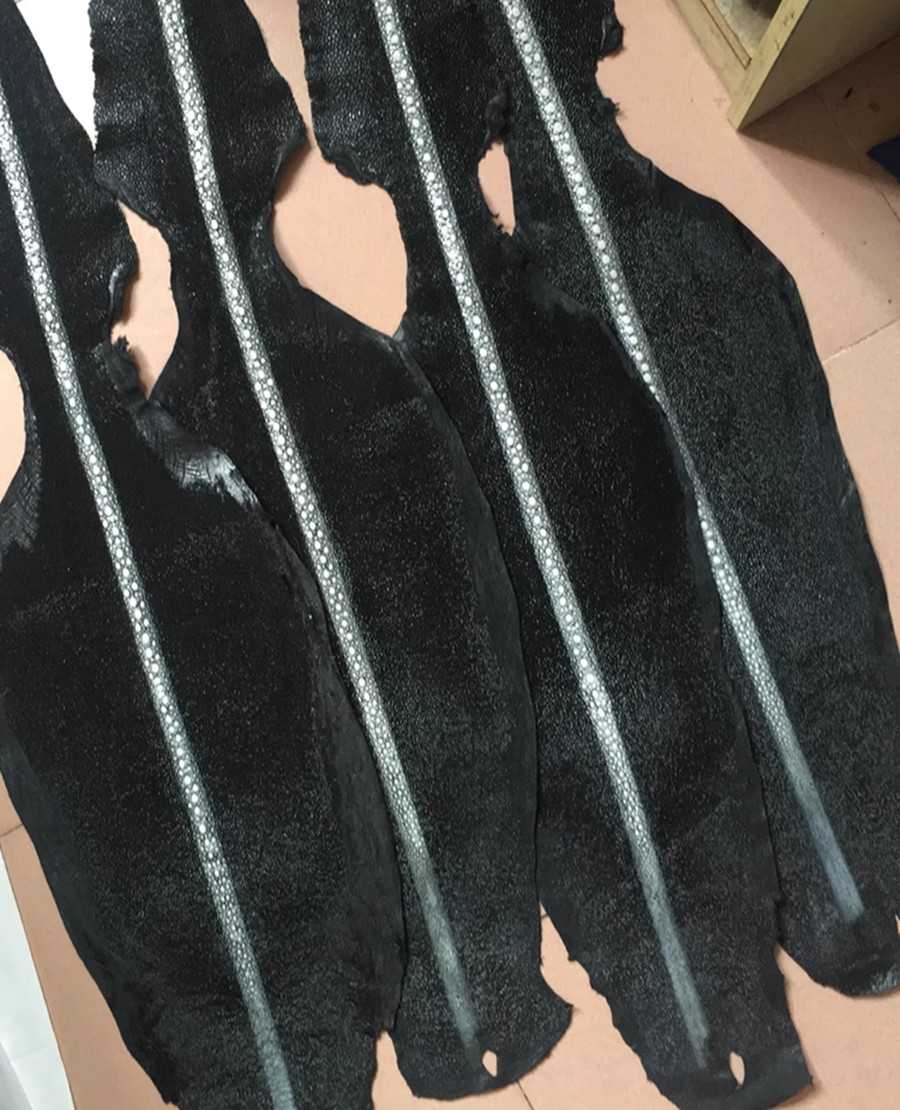 1PCS Unpolished Stingray Shagreen Fish Hide Skin Leather DIY Pelt Various Colors