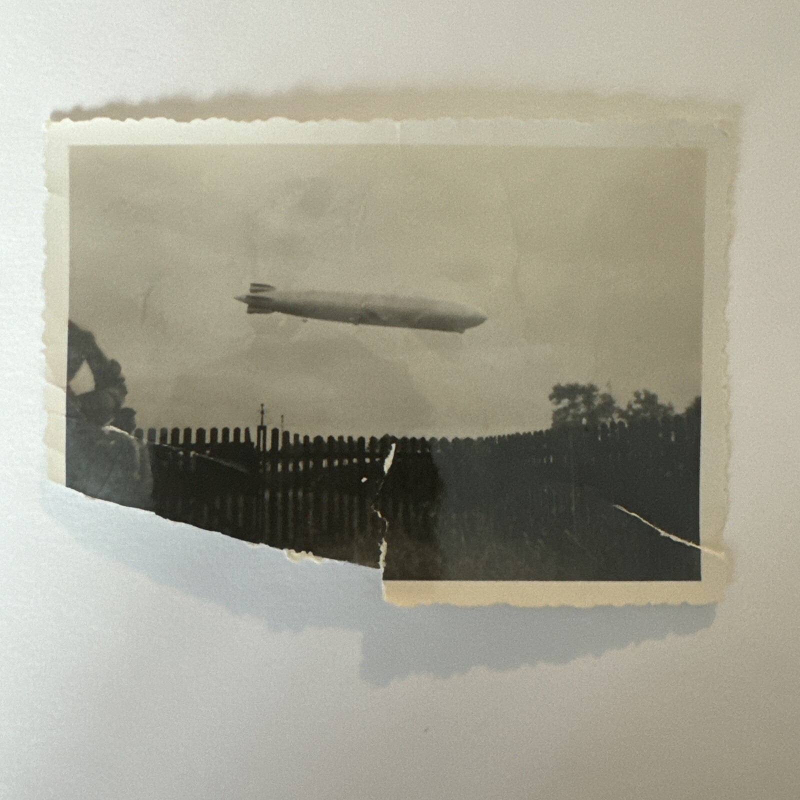 ZEPPELIN PASSENGER AIRSHIP IN FLIGHT 1908 8x10 GLOSSY PHOTO PRINT