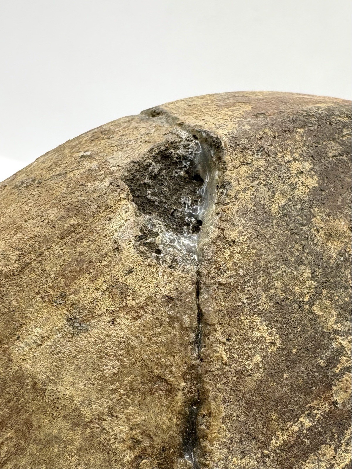 PRE-COLUMBIAN POTTERY PERU COASTAL ANDES REDWARE BOWL CHANCAY- CHIMU 900-1400 CE