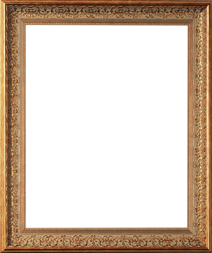 2-5/8" Bronze Gold Picture Frame 11x14 12x18 16x20 24x36 30x40 36x36 + 1556-MM2
