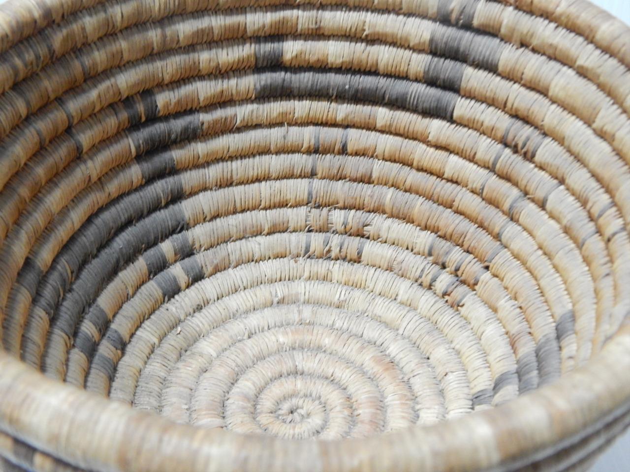 ANTIQUE VINTAGE HOPI PUEBLO DEER PICTORIAL INDIAN COILED BASKET POLYCHROME