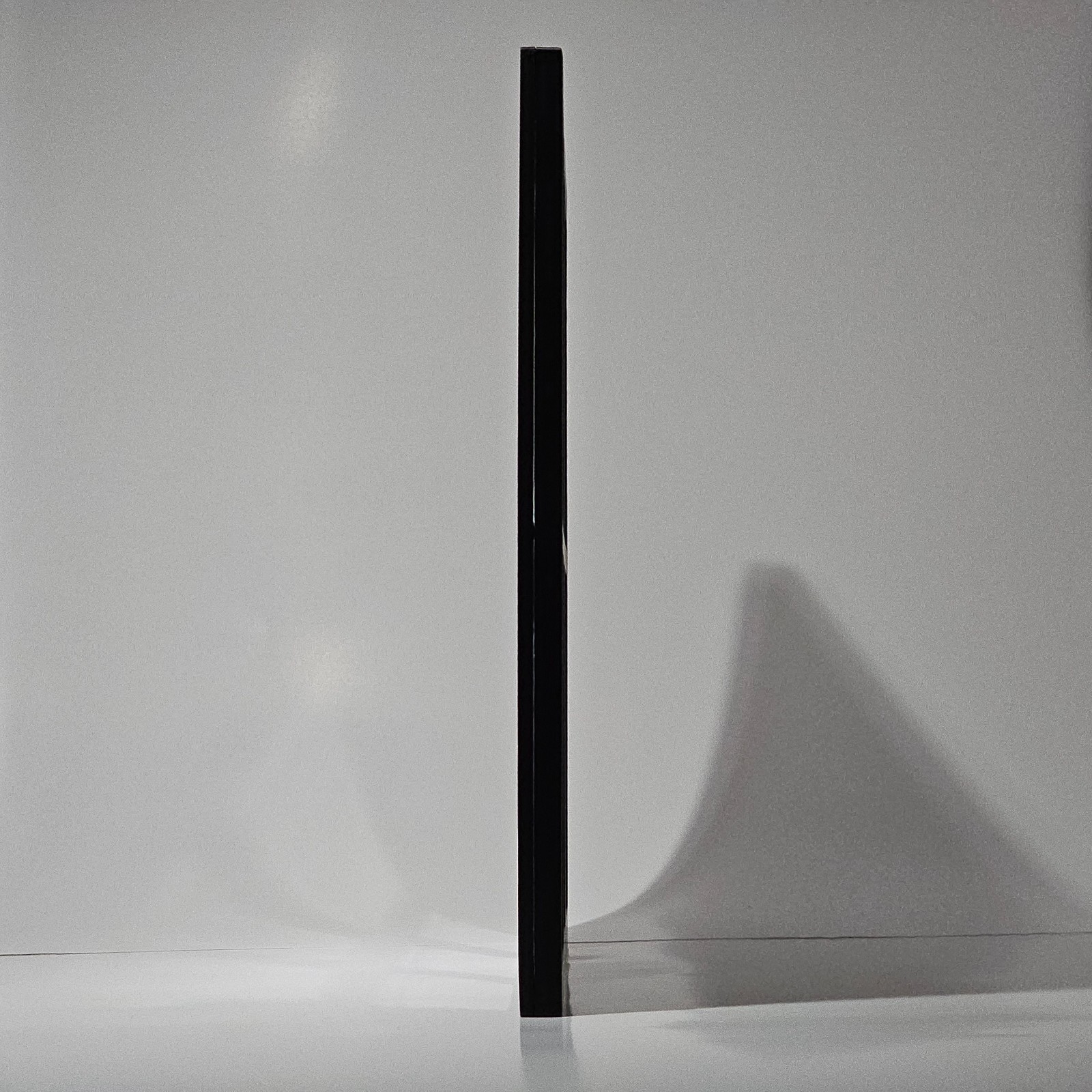 PSA Slab 6 Card Display Wall Mount – Magnetic Two-Piece Frame for Pokémon & TCG