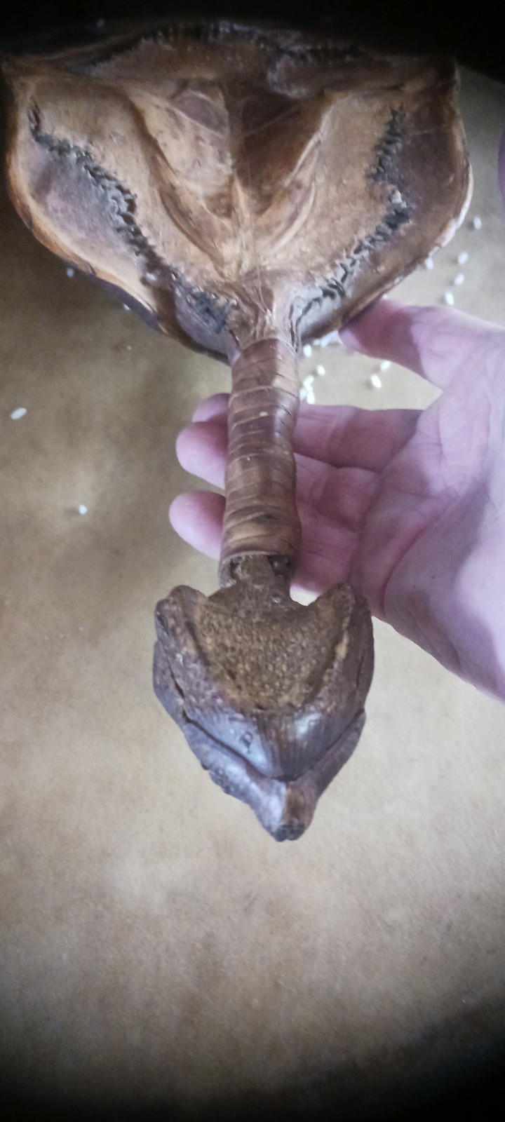 **AWESOME ANTIQUE NATIVE AMERICAN CEREMONY RATTLE OJIBWA SHAMAN NICE! *