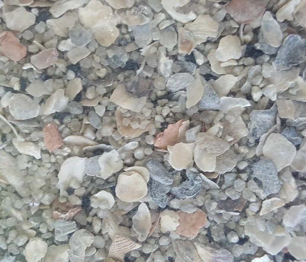 Canary Food Roller Cuisine Mix w/ Fruits, Vegetables & Vitamins **Choose size**