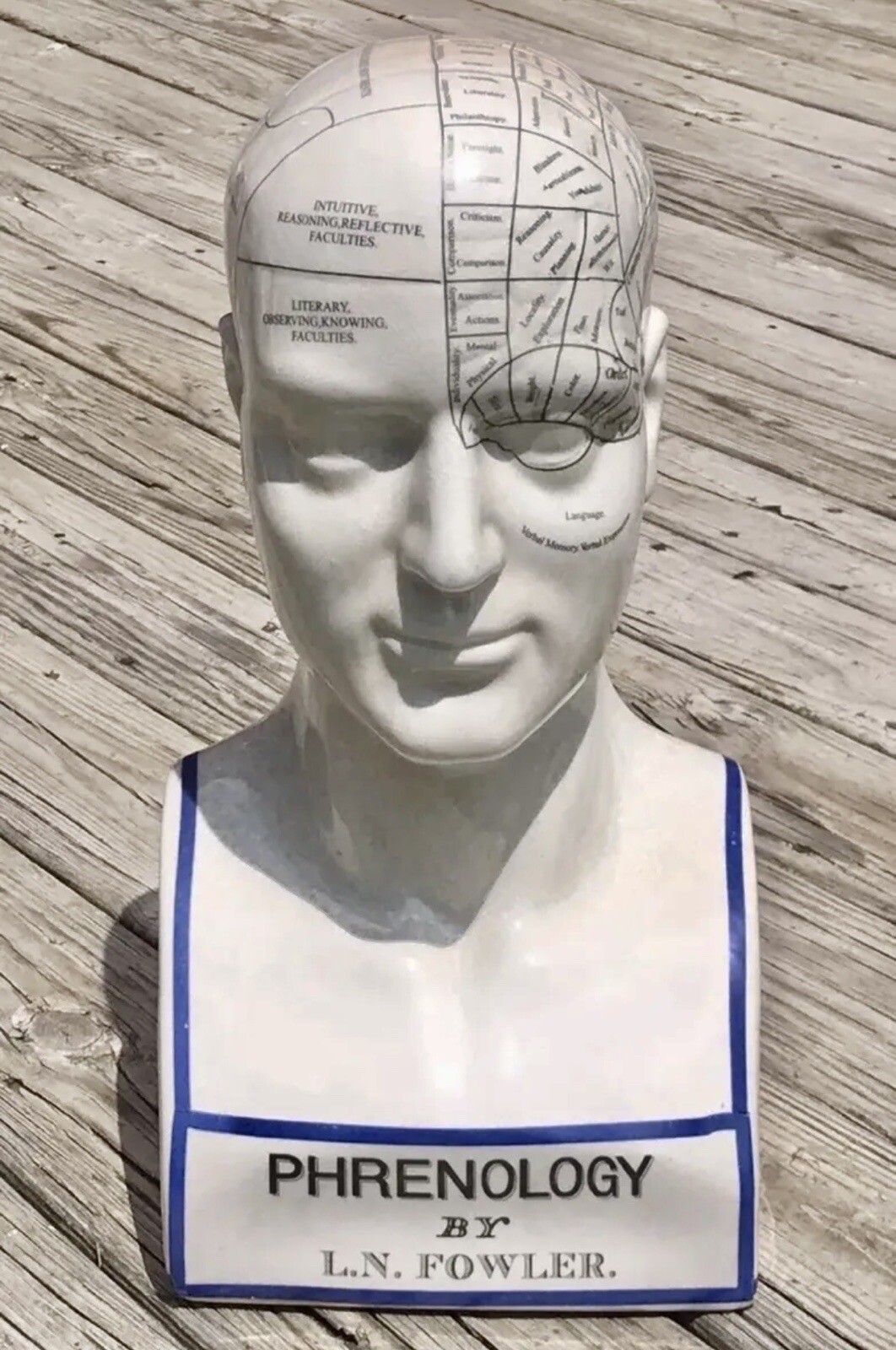 Porcelain L.N. Fowler Phrenology Scientific Psychology 17” Large Bust Head