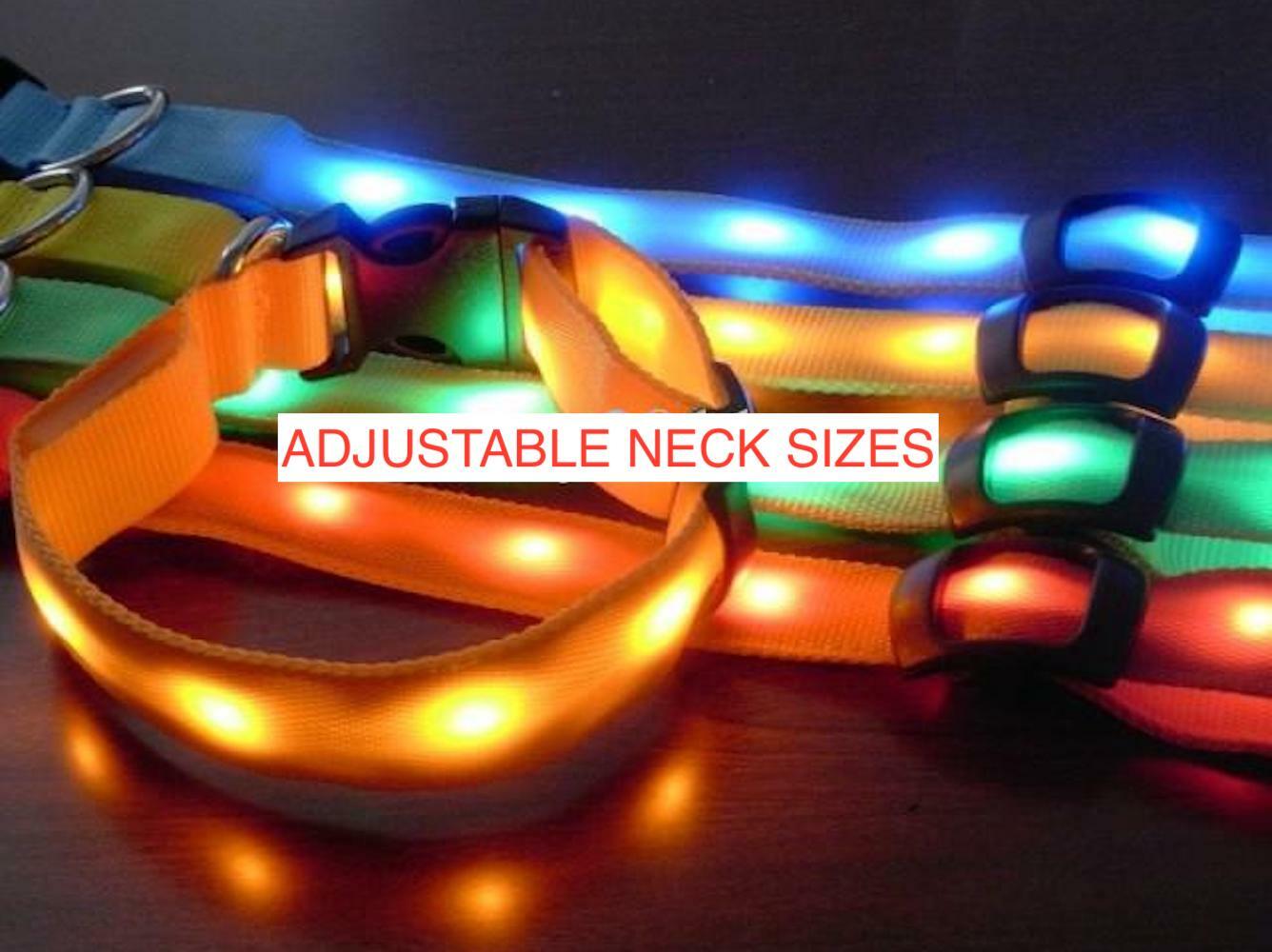 LED RECHARGEABLE COLLAR glow light-up Dog (s, m, l, xl) Cat (xs) Pet Safety USB