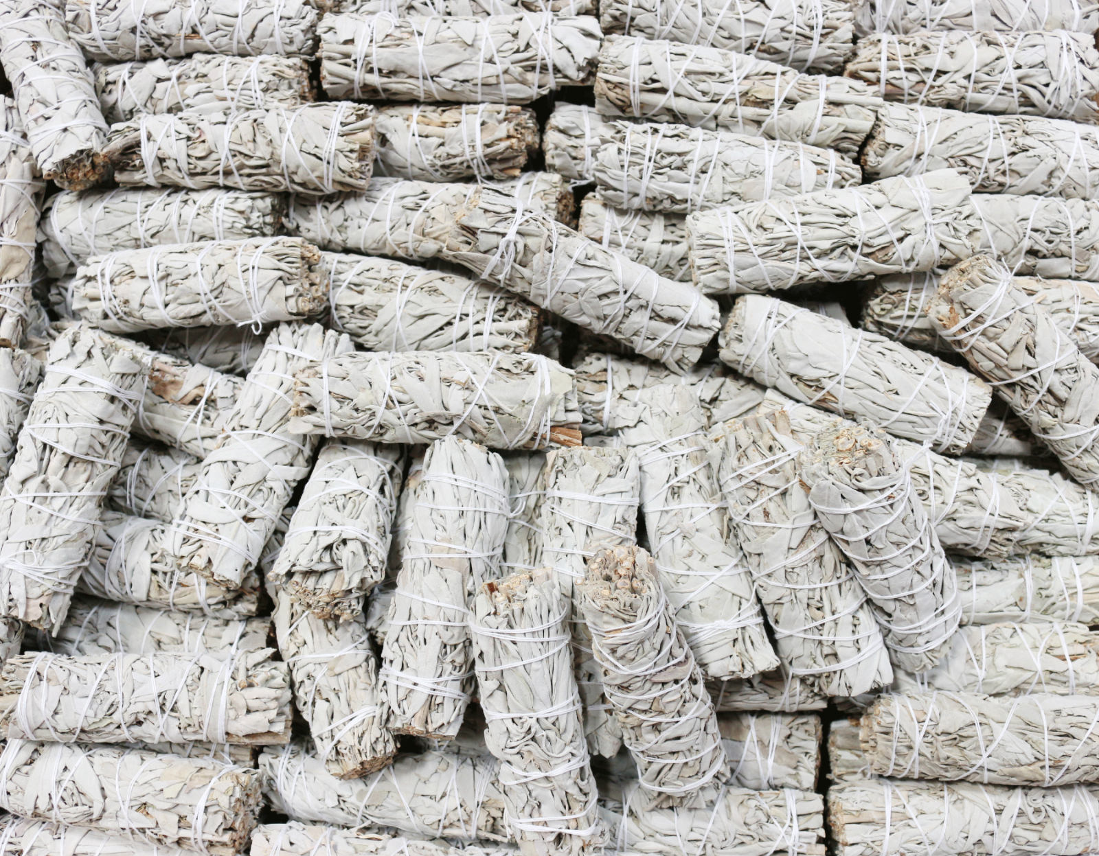 White Sage Smudge Sticks Wholesale Bulk Quantity 50 White Sage Smudge Wands