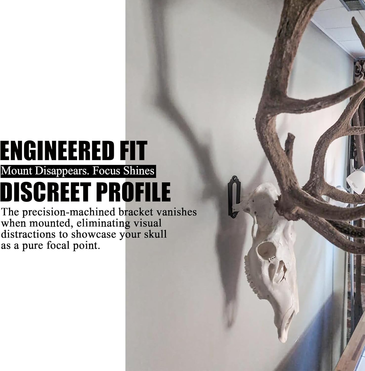 Heavy Duty Euro Skull Hanger for Deer, Bear & More - Simple Installation