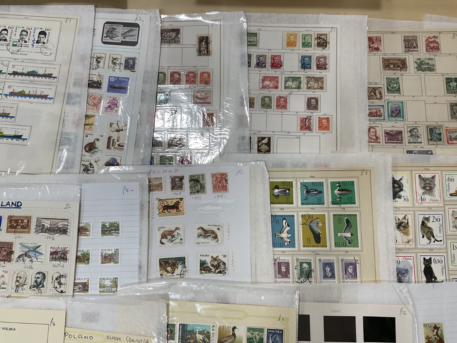 Poland stamps. Ex dealer leaves. Mint/Used. Vintage to modern. 1.8kg G101
