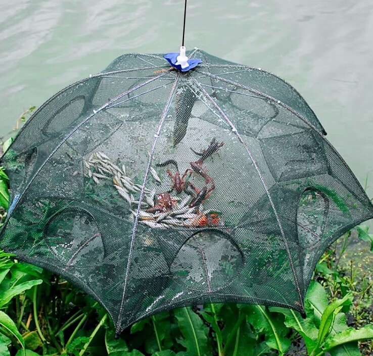 ✅ SET OF 4, 8 Hole Crayfish Trap Crawfish Trap Minnow Trap Shrimp Trap Crab Net